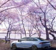 赤峰小鵬出售電話是多少號(hào)