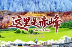 赤峰雙通駕校地址電話查詢號碼