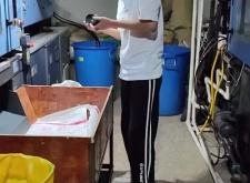 赤峰夜班推薦工作室電話號碼