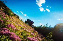 赤峰花香谷團(tuán)購電話地址查詢