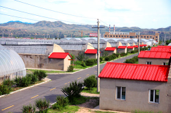 赤峰種苗公司電話多少號(hào)碼