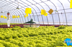 赤峰榮達(dá)汽修電話號(hào)碼查詢