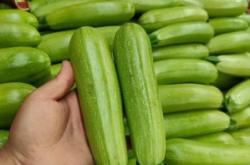 赤峰土豆冷庫加工廠電話號碼