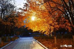 赤峰維多利圖書館電話號碼