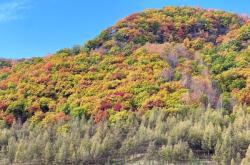 赤峰狗狗美容師招聘電話號碼