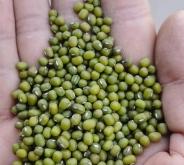 赤峰速凍調(diào)理品批發(fā)電話號(hào)碼