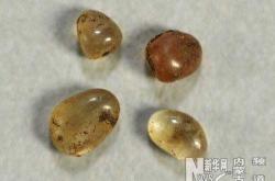 赤峰市賣紐扣的地方電話號(hào)碼