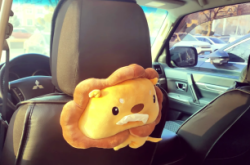 赤峰至大連返程車電話號碼是多少