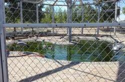 長青公園赤峰酒吧電話多少號(hào)