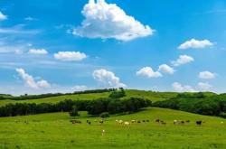 赤峰吉祥養(yǎng)生館電話號(hào)碼查詢