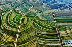 赤峰王家店養(yǎng)老院電話號(hào)碼