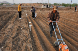 赤峰市谷子收割打捆電話號碼