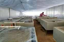 赤峰水蛭養(yǎng)殖基地電話號碼