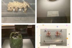 赤峰免授粉銷售商店電話號(hào)碼