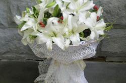 赤峰鮮花批發(fā)配送站電話號碼