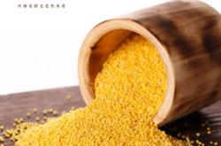 赤峰北方廣告電話號(hào)碼