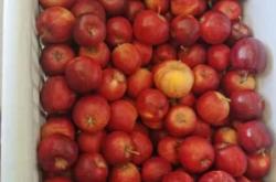 赤峰林西海鮮餐廳電話號碼