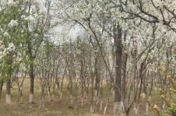 赤峰博達(dá)手機(jī)維修電話號碼查詢