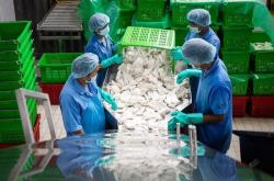 赤峰送椰子水的電話號(hào)碼是多少