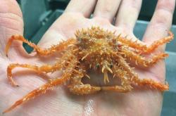 赤峰摩爾海洋樂園電話多少號(hào)