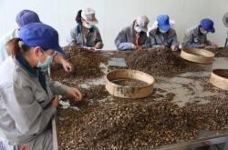 赤峰牛脖套批發(fā)電話地址查詢