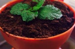 赤峰小米糕團(tuán)購電話地址查詢