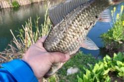 赤峰漁樂(lè)海洋公園電話號(hào)碼