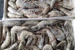 赤峰青蝦批發(fā)電話是多少號(hào)