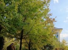 海濱路赤峰街交匯處電話號碼