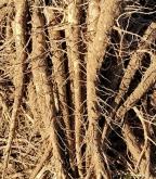 赤峰牛飼料經(jīng)銷商電話號碼