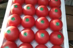 赤峰陳糧批發(fā)電話(huà)是多少號(hào)