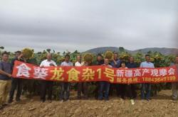 赤峰市大板鎮(zhèn)考場(chǎng)電話號(hào)碼