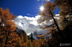 赤峰壹點(diǎn)攝影電話多少號(hào)