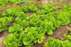 赤峰市小豆豆農(nóng)場(chǎng)電話號(hào)碼