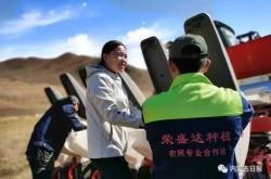 赤峰收購(gòu)黍子電話(huà)地址是多少號(hào)