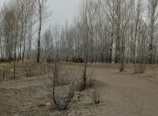 赤峰市敖漢旗燈籠會(huì)館電話號(hào)碼