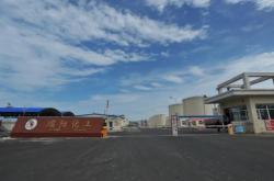 赤峰包谷種子銷售公司電話號(hào)碼