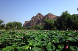 赤峰紅山區(qū)草莓園電話號碼