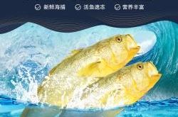 赤峰賣大黃魚的地方電話號(hào)碼