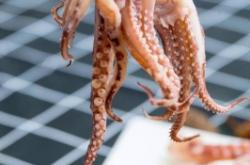 赤峰博哥海鮮電話號碼查詢