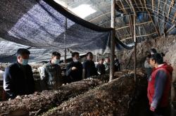 赤峰食用菌合作社電話號碼