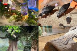 赤峰探店動物園電話號碼