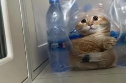 赤峰送水貓電話客服號碼是多少