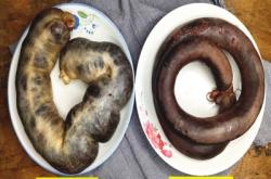 赤峰順豐駕校電話多少號