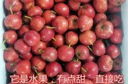 赤峰小糖葫蘆批發(fā)電話號碼