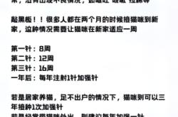 赤峰給貓打疫苗店電話號(hào)碼