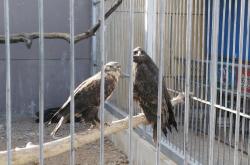 赤峰動物園聯(lián)系電話號碼