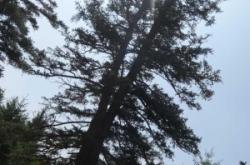 赤峰松樹園居委會(huì)電話號(hào)碼