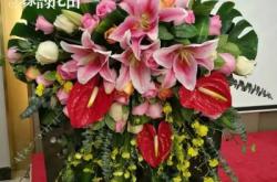 赤峰花田鮮花店地址電話號碼