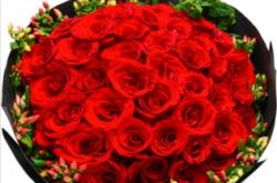 赤峰轉讓花店電話號碼查詢地址